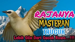 Download Lagu TRUCUKAN GACOR DOR|| cucak rowo lewat ‼️ MP3