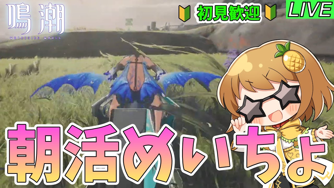 【鳴潮　朝活】探索とイベントと任務と雑談と～質問・相談OK～【初見歓迎】