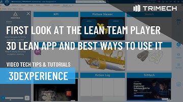 First Look at the Lean Team Player