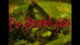 Download Lagu Pus Corroded Cunt - À Tout le Wiki Download Lagu Pus Corroded Cunt - À Tout le Wiki