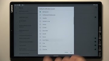 LENOVO TAB M10 Plus - How To Change Notification Sounds