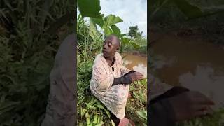 Tanga Tanga Wala Ke Banner Funny Videos