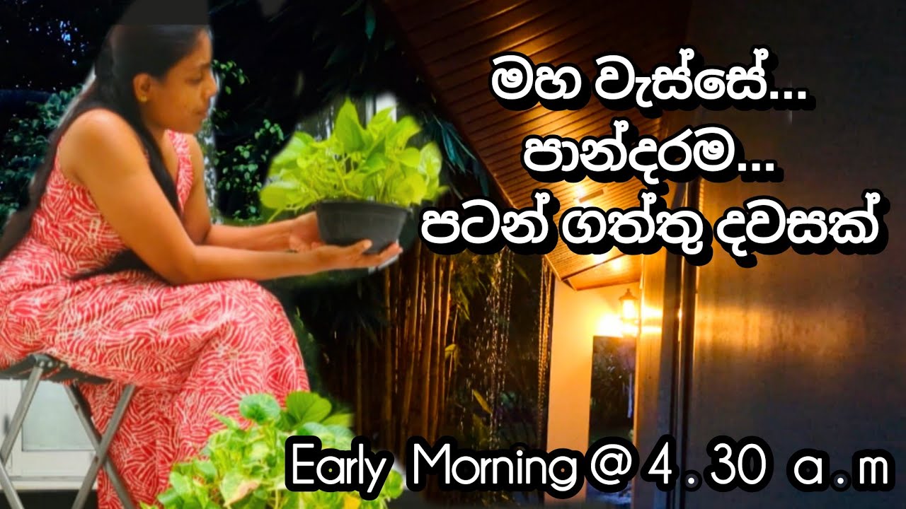 කම්මැලිකම පරද්දපු වැහිබර පාන්දර || My Morning Routine At RAINY DAYS ||Let's do lot of works❤️