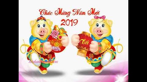 Happy new year/Chúc mừng năm mới/ năm 2019!kỷ hợi!