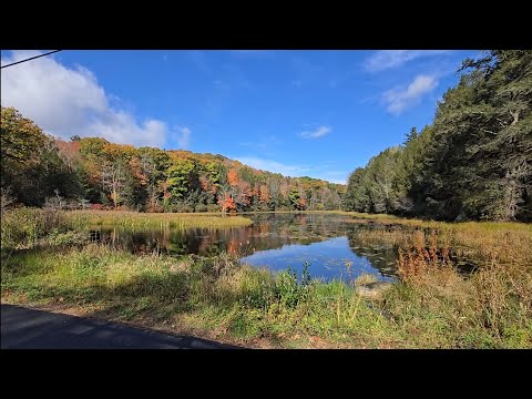 Fall colors in New England