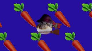 Pufferfish remix - Bad carrot | RYTPMV