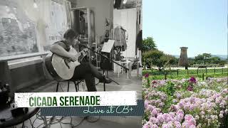 Cicada Serenade by The Rose Chafer, live at B+ (Letters From Dragonfly Garden Tour)
