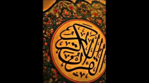 سورة الهمزة / عزيز عليلي
