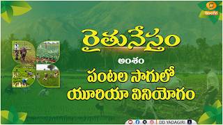 రైతునేస్తం  - పంటల సాగులో యూరియా వినియోగం