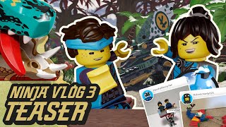 Ninja Vlog #3: It's Dragon Time...| Nya & Jay from LEGO NINJAGO