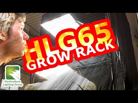 Hydro Grow Rack With HLG 65 LED