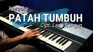 PATAH TUMBUH HILANG BERGANTI | Karaoke lagu karo