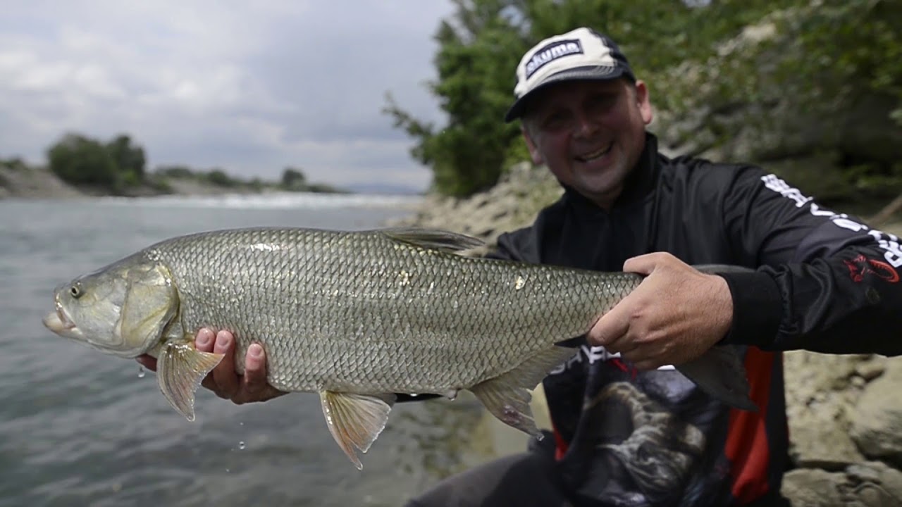 Savage Gear Pop walker asp fishing