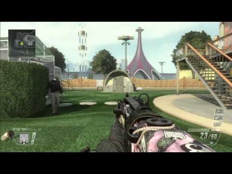 [cod bo2] ＦＦＡ初心者講座　エイム編[モラリオン]