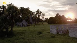 Sapelo: Their Own Little World | Sapelo | America ReFramed