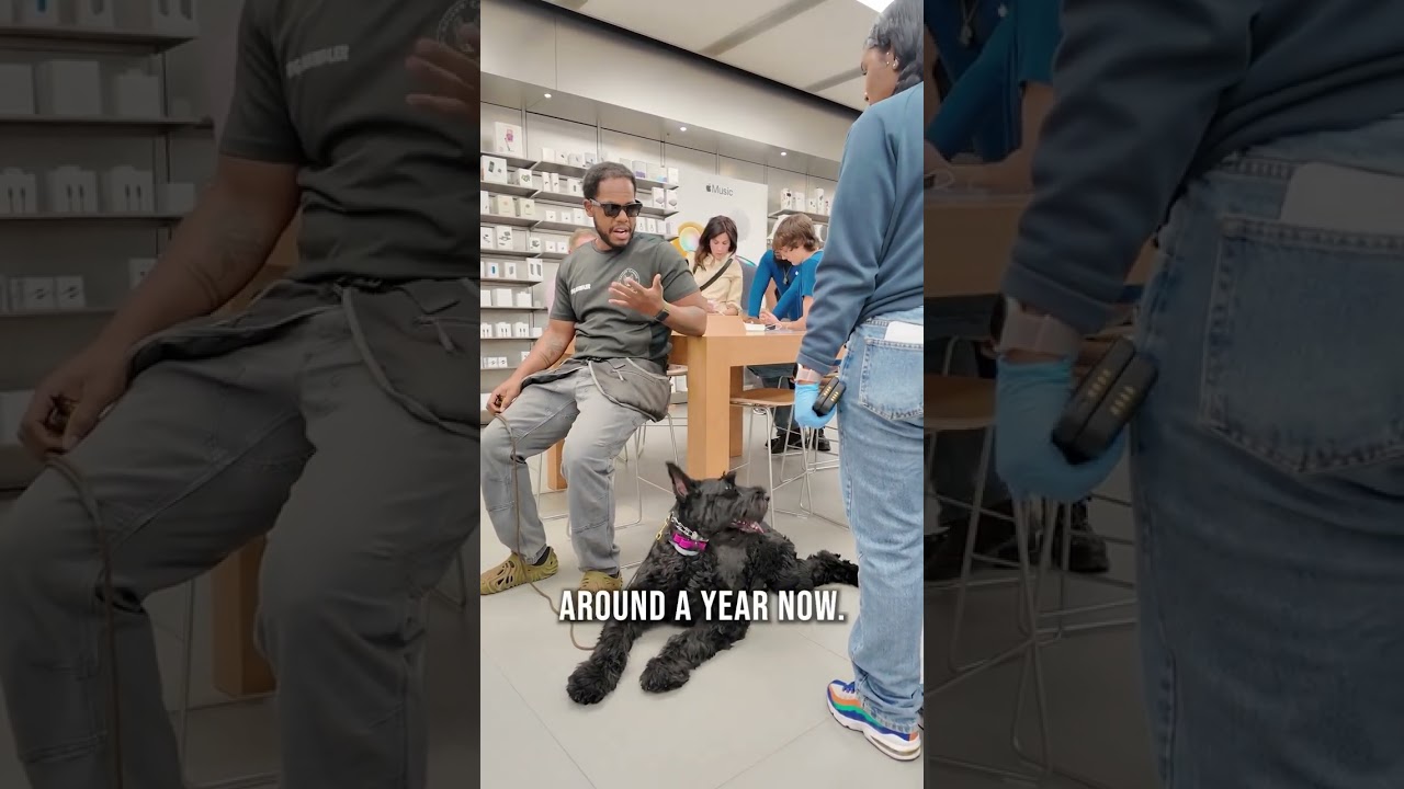 Меня ужасно раздражало, когда ко мне постоянно подходили люди, хотя у меня была собака. #собаки #...