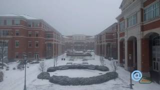 UNC Charlotte Snow 1/7/2017