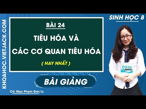 Video Tiêu hóa và các cơ quan tiêu hóa - Bài 24 - Sinh học 8... - youtube