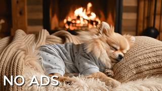 12 Hours of Dog Healing Music 🐕💖 | The Secret to a Calm & Relaxed Dog