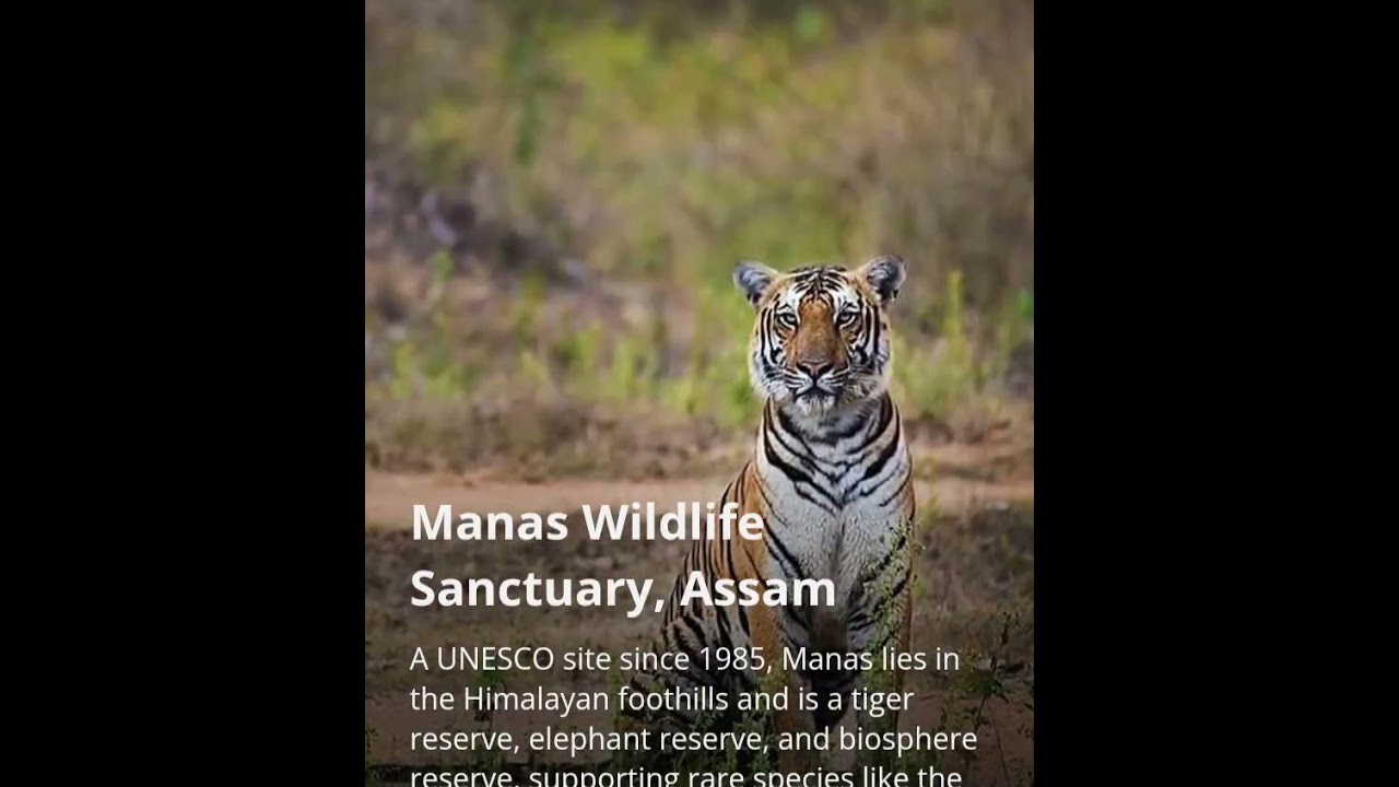 top 10 UNESCO natural heritage wildlife sites in india