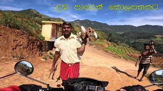 යන්න අමාරුයි කියලා නොයා ඉන්න බැරි පාරවල් | කදු උඩ ලයිම් ගෙවල් | Nature | Beautifull Sri Lanka