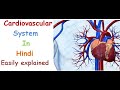 Cardiovascular system in hindi || functions || structure || pulmonary and systematic circulation