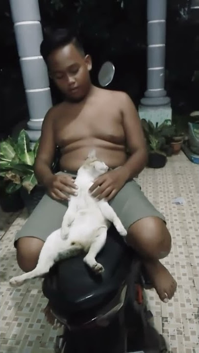 Sange sama kucing!1!1!