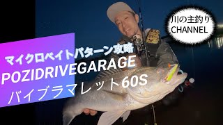 【シーバス】 秋田県米代川 ポジドライブガレージ バイブラマレット マイクロベイトパターン攻略