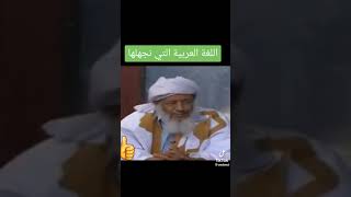 العلامة محمد سالم عدود  /بعض الأخطاء الشائعة في اللغة العربية