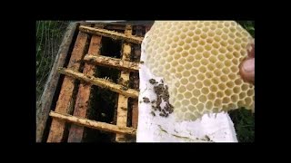 весна на пасеке - формирование отводков для ухода от роения пчел, часть 3