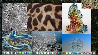 Self-organization
