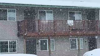 Pullman WA MORE SNOW Even MORE Snow This Weekend For The Next 4-5 Days