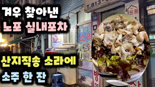 [아재들 취향저격 노포 찐맛집] 삼고초려로 입성 성공! 노량진 노포 실내 포차, 바다내음 가득했던 흑산도 산지 직송 소라의 포스!