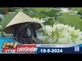 24h chuyn ng 1952024  tin tc hm nay  tayninhtv