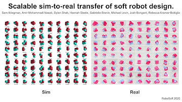 My virtual presentation for RoboSoft 2020.