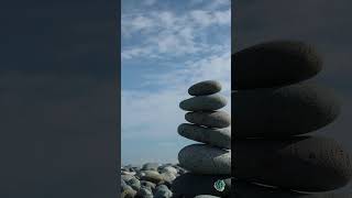 The Gateless Gate/Joshu's Dog  (Zen Koan Explained) #zen  #koan #meditation  #buddhism