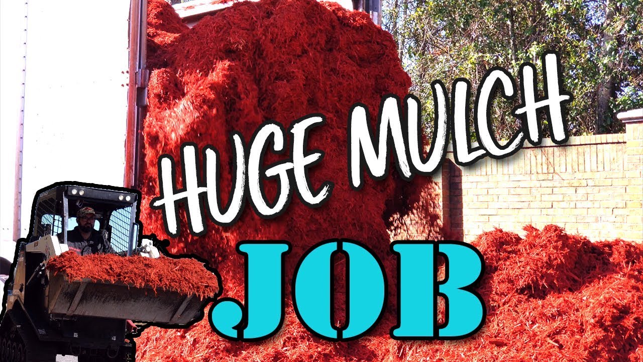LAYING DOWN MULCH/HUGE MULCH JOB! 80100 Cubic Yards YouTube