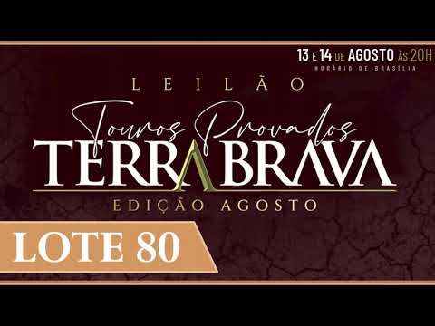 LOTE 80   EPCO 1272