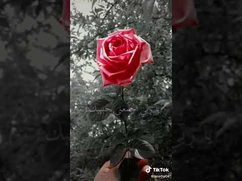 قلبي لكا فاض حنين