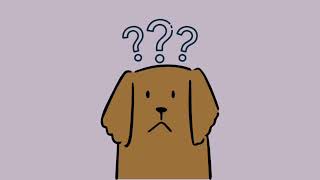 Animal Shelter Euthanasia-A discussion and analysis on the use of euthanasia in shelter management.