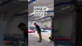 Cable Hamstring Pull Through