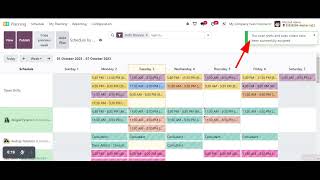 ||Autoplan in Odoo 17 ||