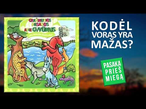 Video: Kas Yra Dadaizmas Ir Kas Yra Dadaistai