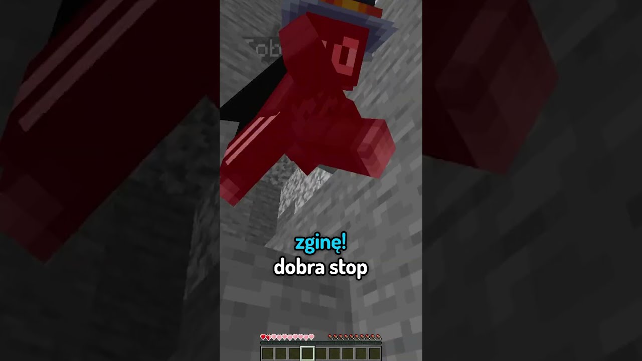 Minecraft visual data 4