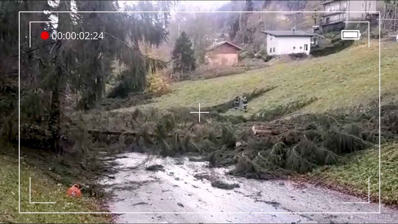 Uomini e Boschi (pt.18) - La tempesta Vaia e l'Altopiano della Vigolana