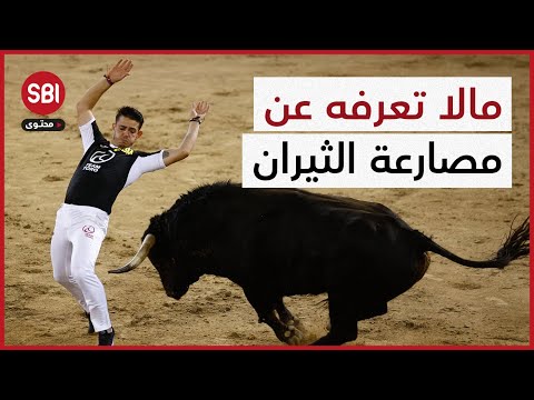 إسبانيا تلغي رسمي ا مسابقة مصارعة الثيران الوطنية ما هو السبب وماذا تعرف عن تلك اللعبة الوحشية