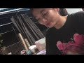 璟茂 介紹工 VU TAM ANH C2416
