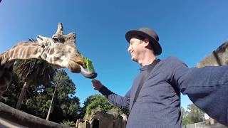 Details The Great Australian Bucket List Update