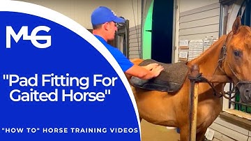 Pad Fitting For Gaited Horse | The Horse Guru - Michael Gascon