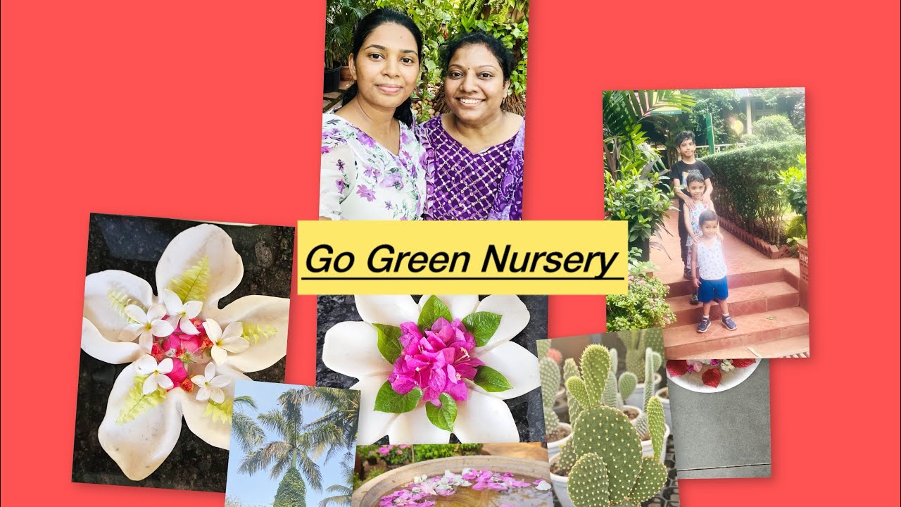 Go Green Nursery Panvel Nursery Tour Karnala Panvel Mini Vlog